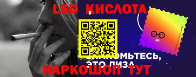 шишки Апшеронск