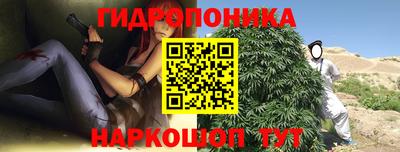 шишки Апшеронск