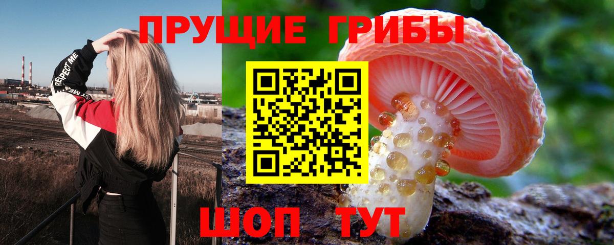 Псилоцибиновые грибы ЛСД  Галлюциногенные грибы MAGIC MUSHROOMS  Вход с VPN  Артёмовский 